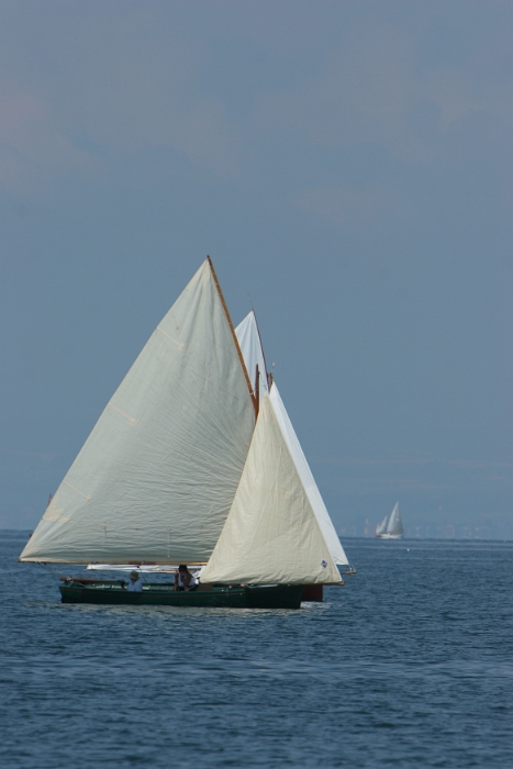 Regate Vieux Bateaux - 176 - 2008